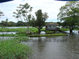 House on Stilts and Floating Garden